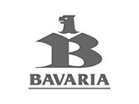 1. PLANTILLA BAVARIA