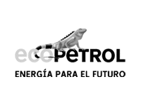 47. PLANTILLA ECOPETROL